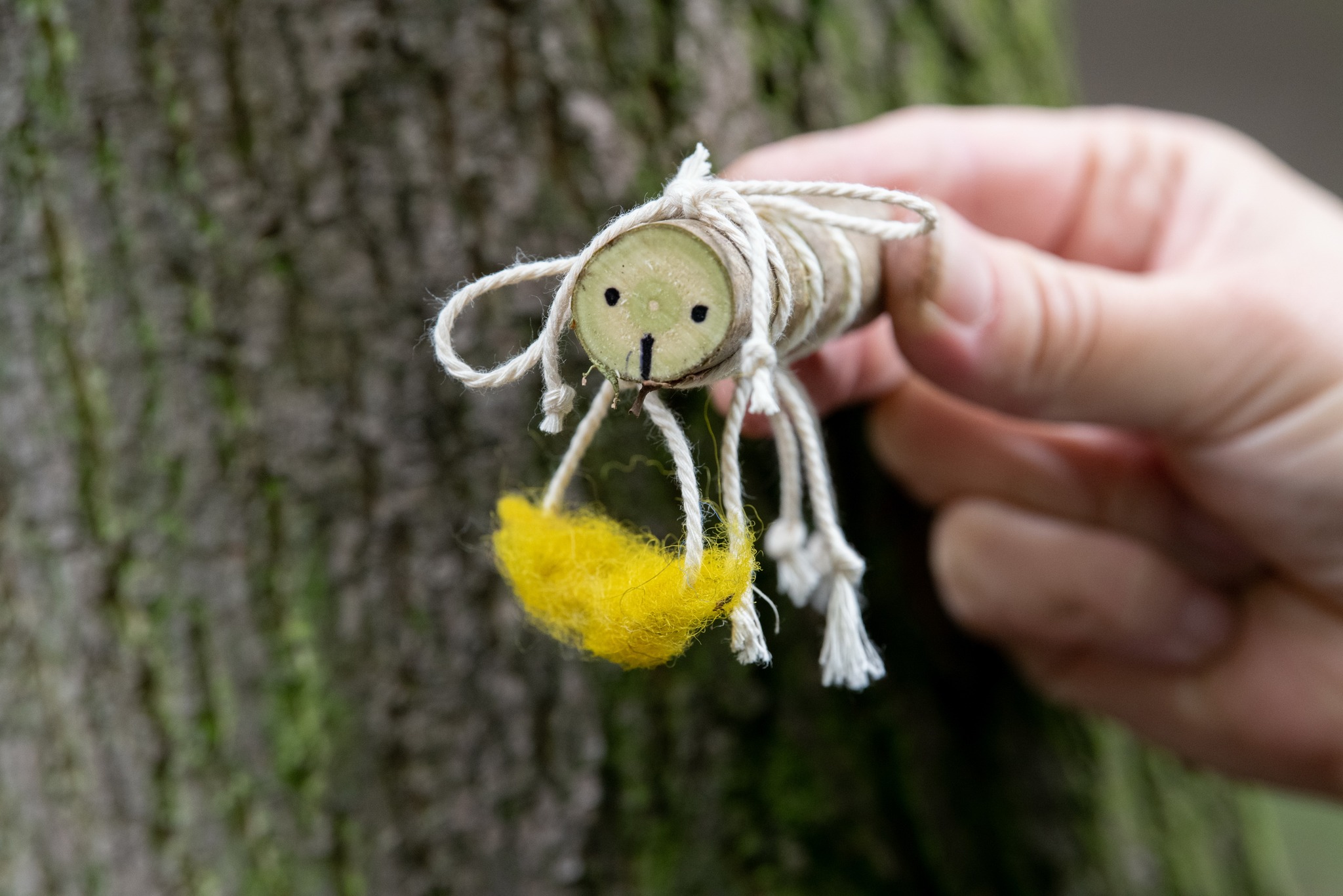 489829280-9920659524612692-863283295384260567-n.jpg (420 KB)