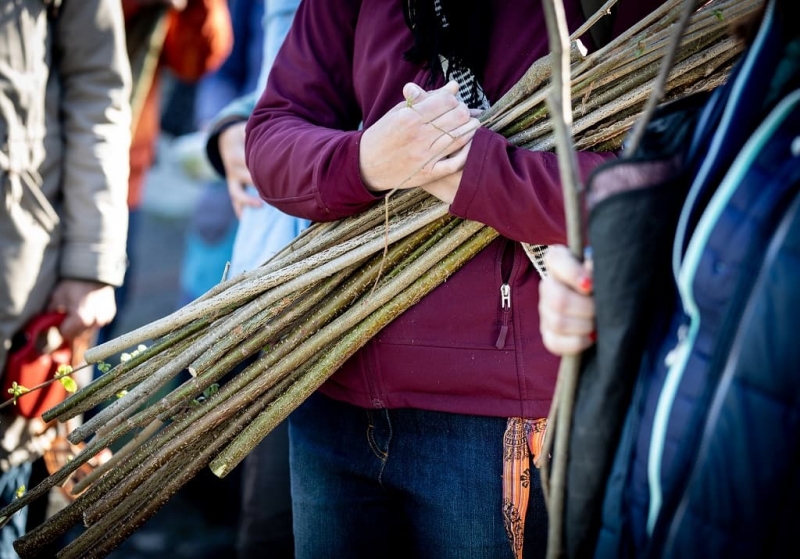 7e43ee644266e085a2c0d9e50b0e4bb5-vime-ktere-pruty-muzeme-uriznout-aby-se-keri-dal-dobre-darilo-1-jpg.jpg (329 KB)