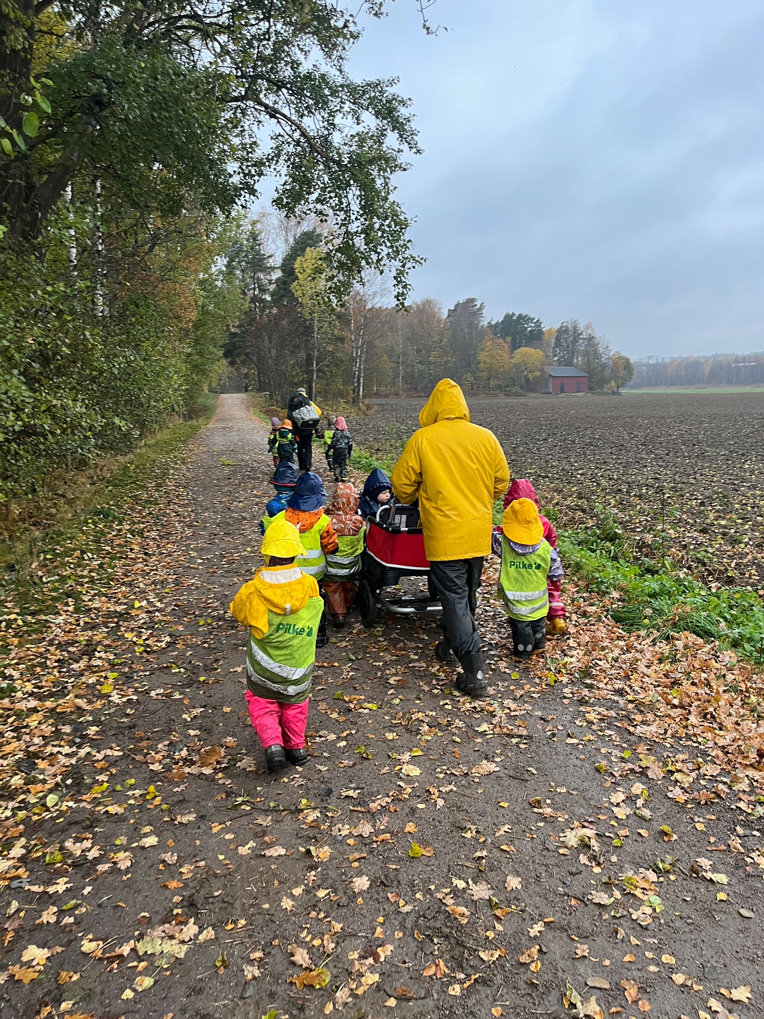 571151655-1256598399844970-1839244108010137120-n.jpg (928 KB)