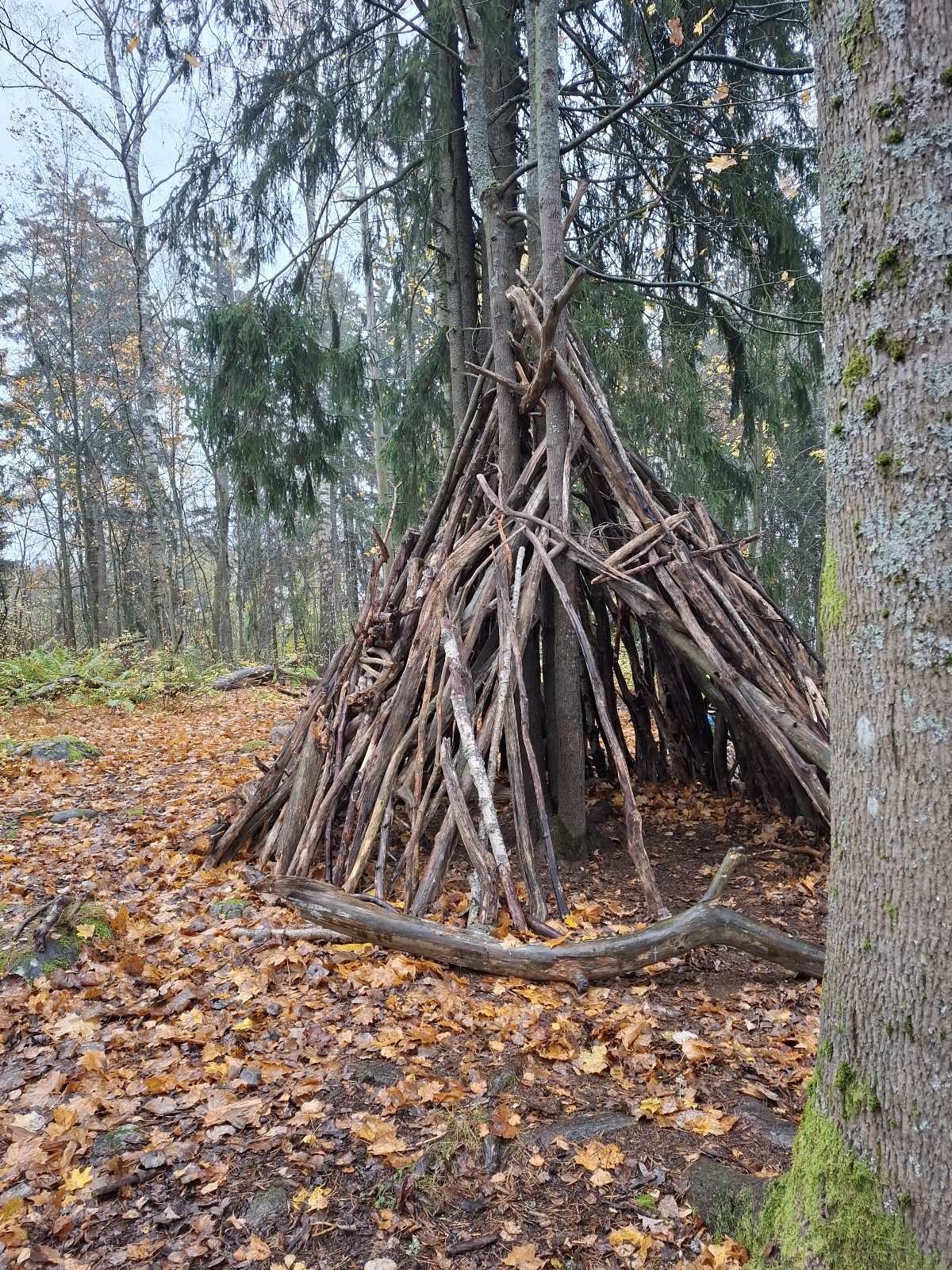 571292734-1256597933178350-3065165616358080954-n.jpg (850 KB)