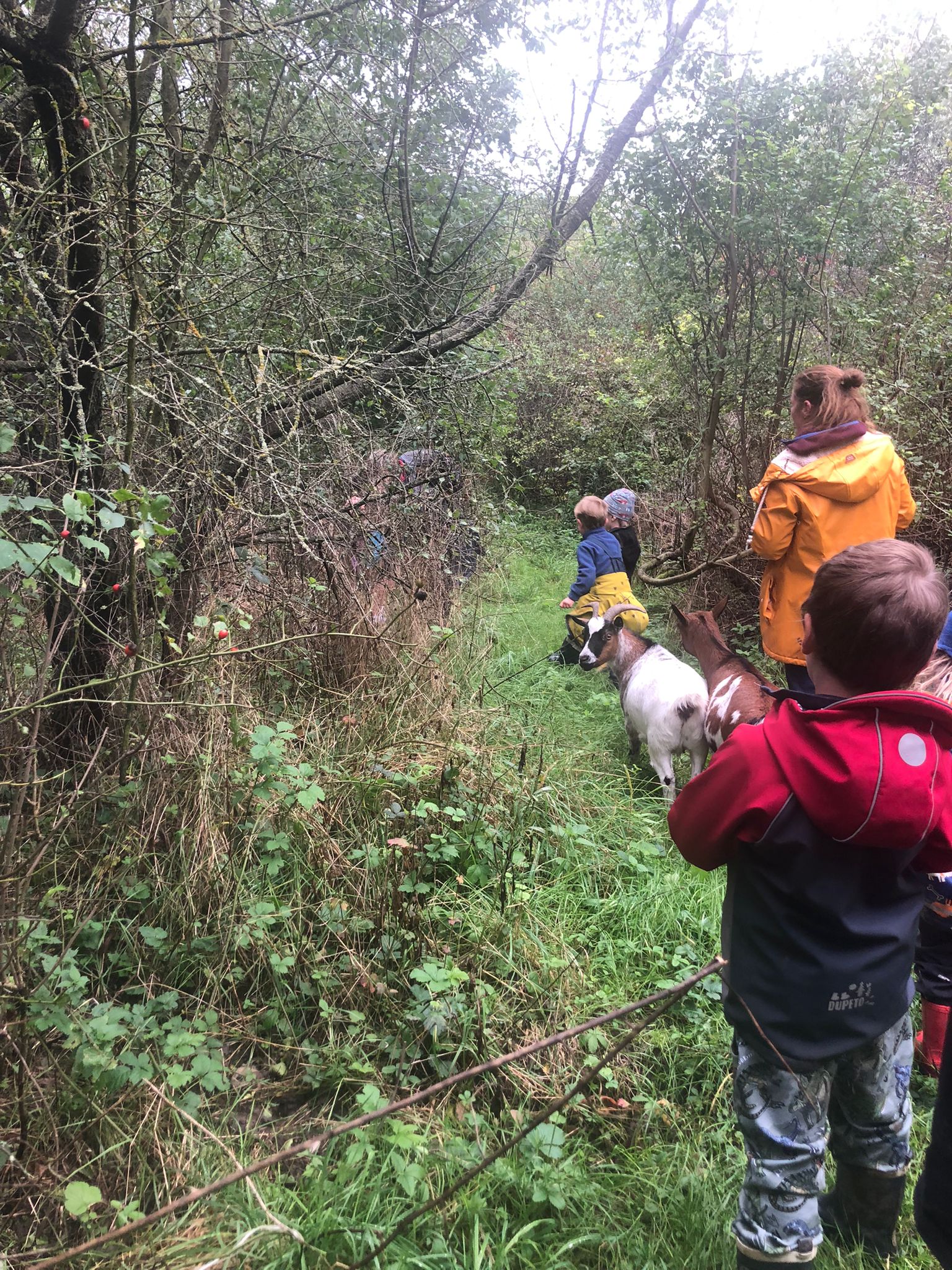 whatsapp-image-2025-10-31-at-13-33-01.jpeg (906 KB)