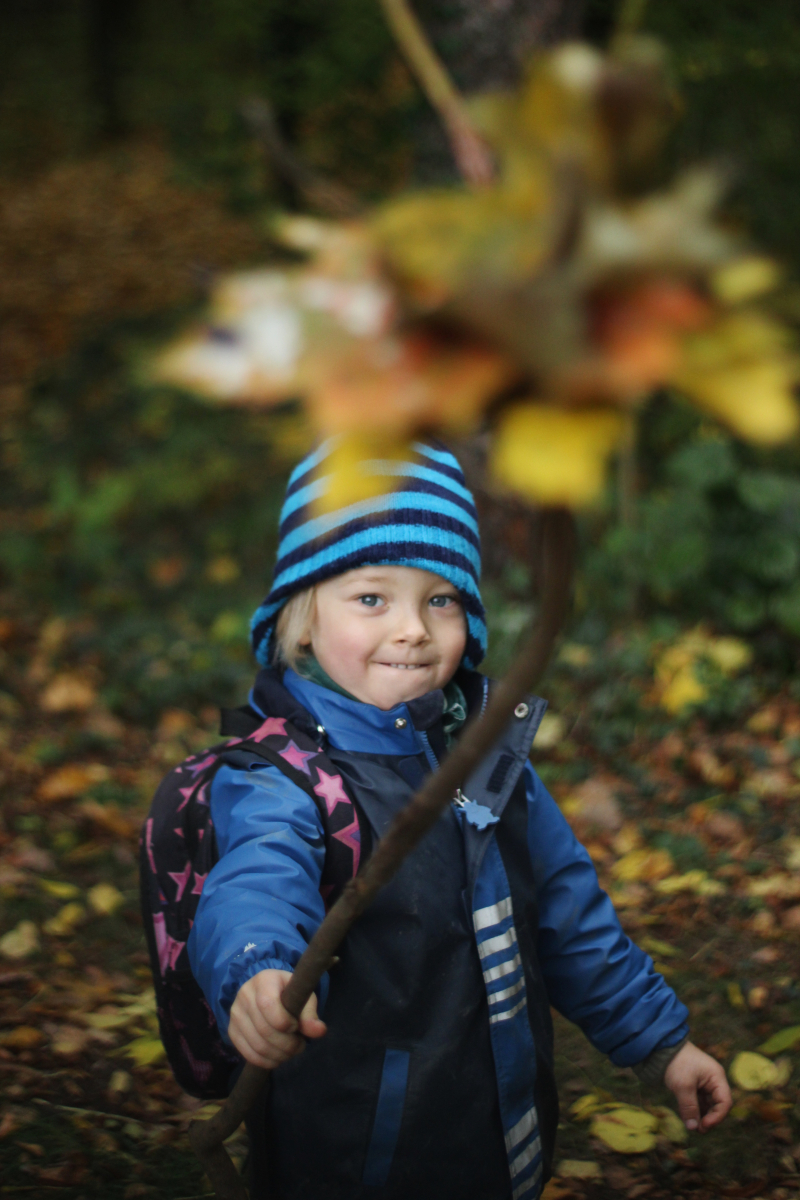 966986ad2970597c869f4e5f0e178bae_img-3517-jpg.jpg