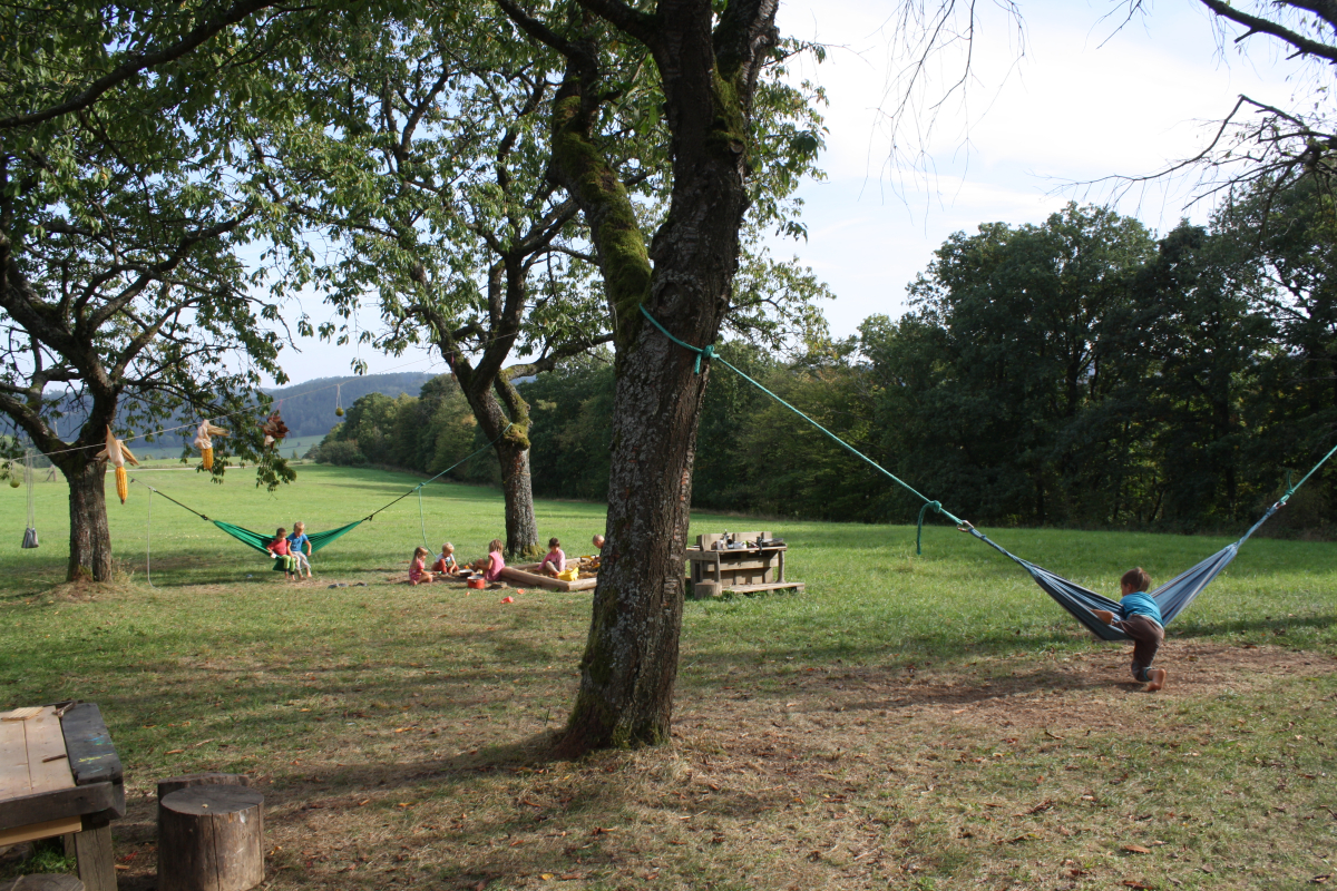 b0523e5ffccd74f4d370ce34ba9db7c8_img-0922-jpg.jpg
